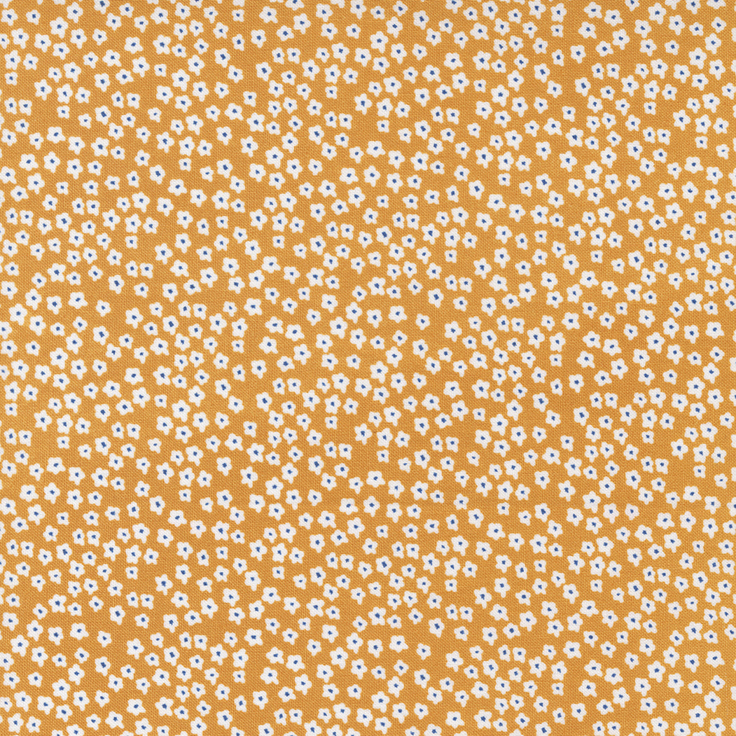 Graze 55601-13