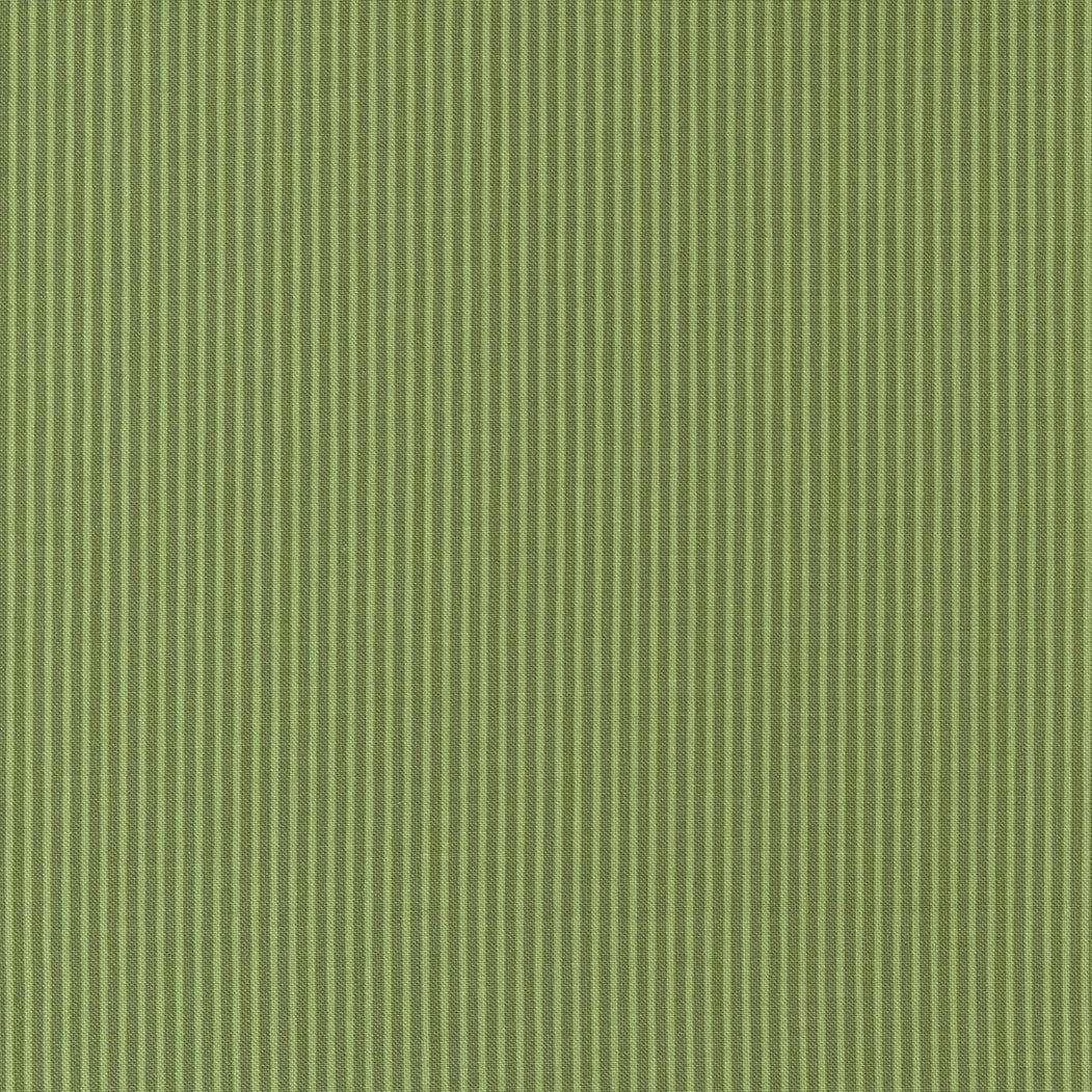 Graze 55603-24