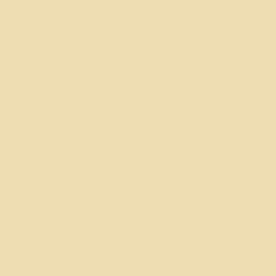Century Solids by Andover - CS-10-ALMOND