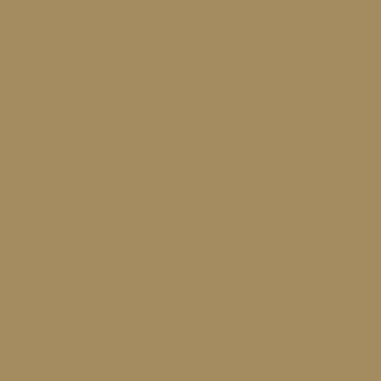 Century Solids by Andover - CS-10-CAFEAULAIT
