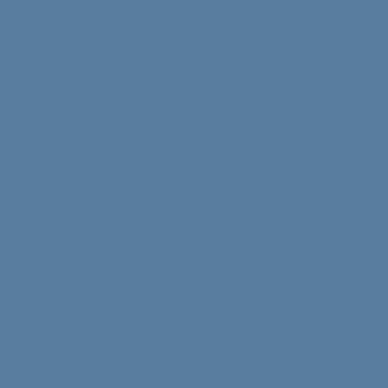 Century Solids by Andover - CS-10-DENIM