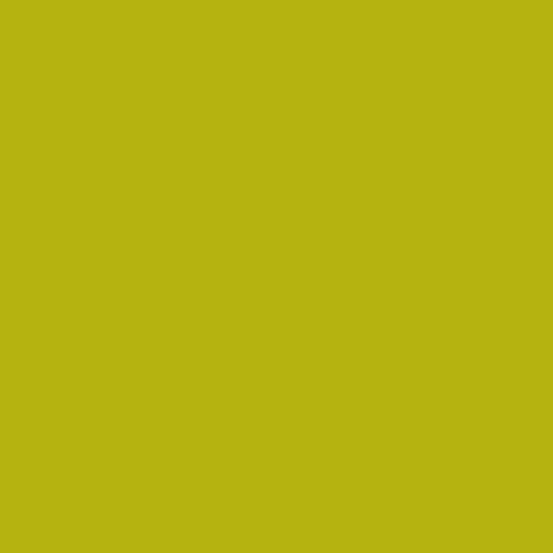 Century Solids by Andover - CS-10-MARGARITA