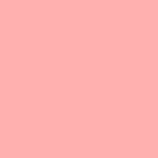 Century Solids by Andover - CS-10-PINKLEMONADE