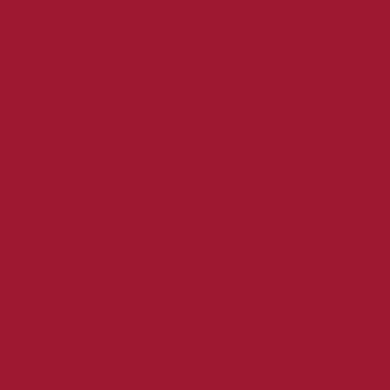 Century Solids by Andover - CS-10-REDWOOD