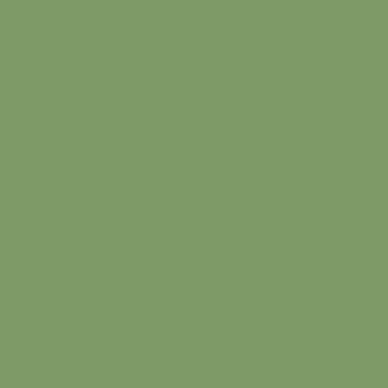 Century Solids by Andover - CS-10-SAGE