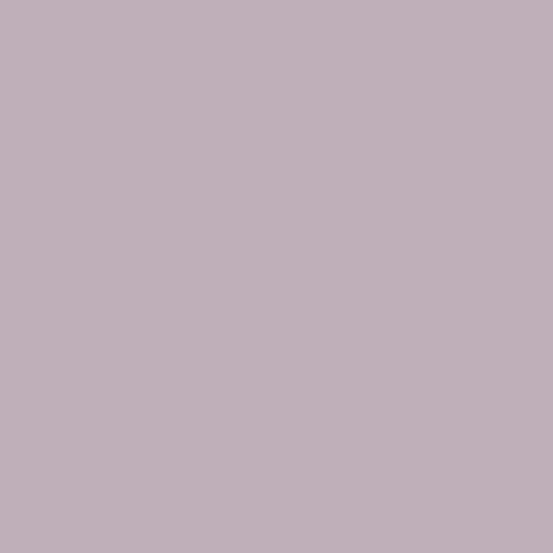 Century Solids by Andover - CS-10-WHISPER