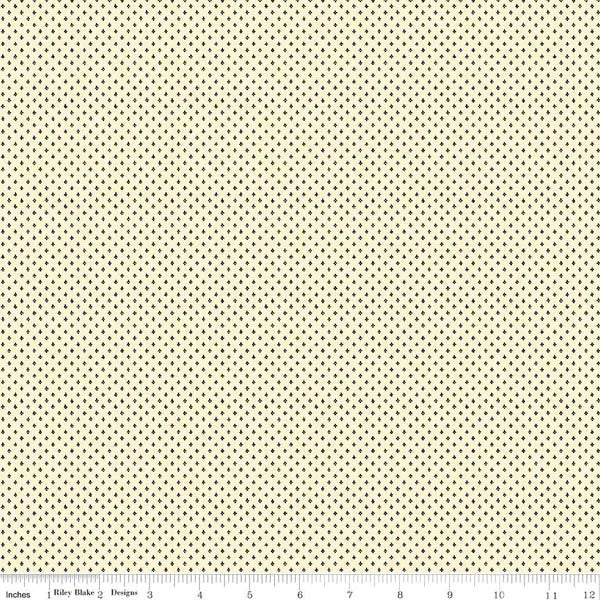Blessed Beyond Measure C9923-CREAM BLACK