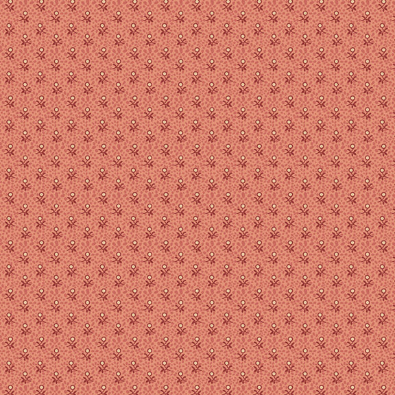 Pinks Of The Past 170181-PINK