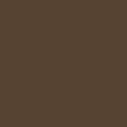 Century Solids by Andover - CS-10-CHOCOLATE